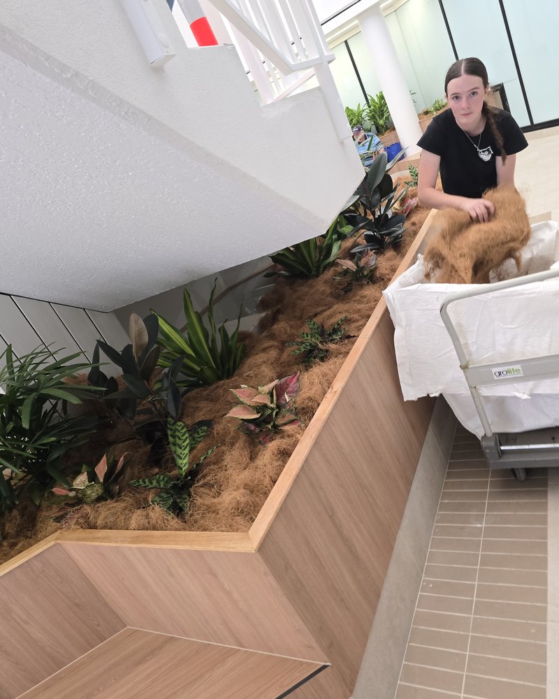 Office dog hanging out with the team