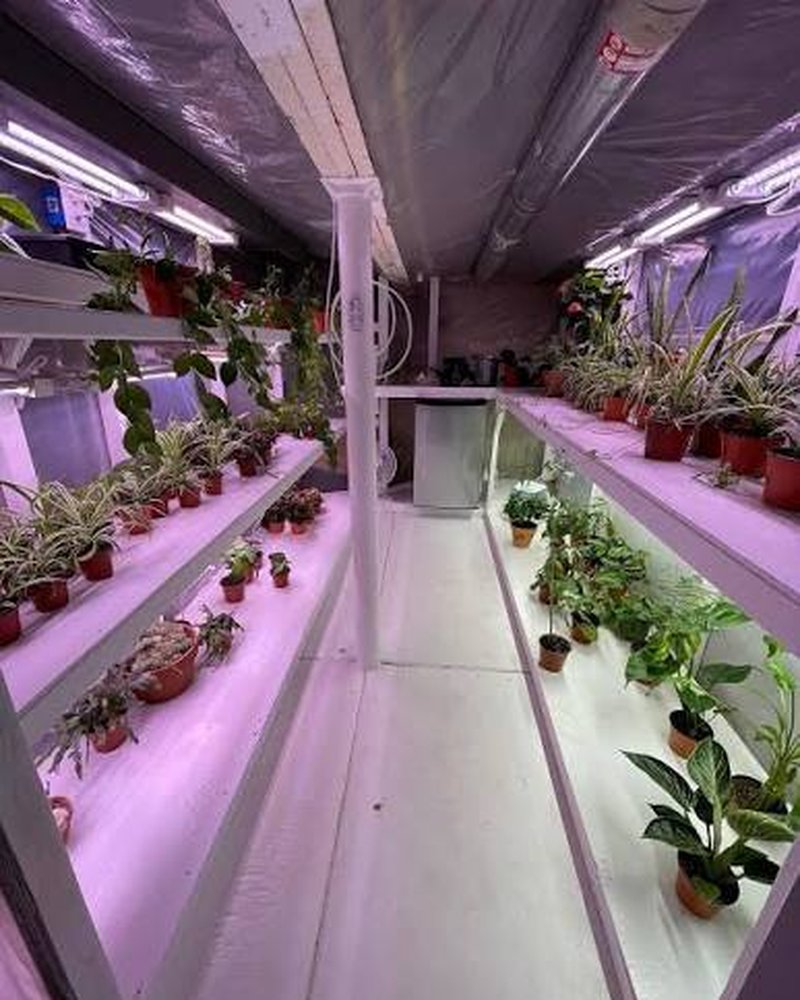 Grolife Indoor Plantscapes &mdash; on-site grow room with propagation benches and grow lights