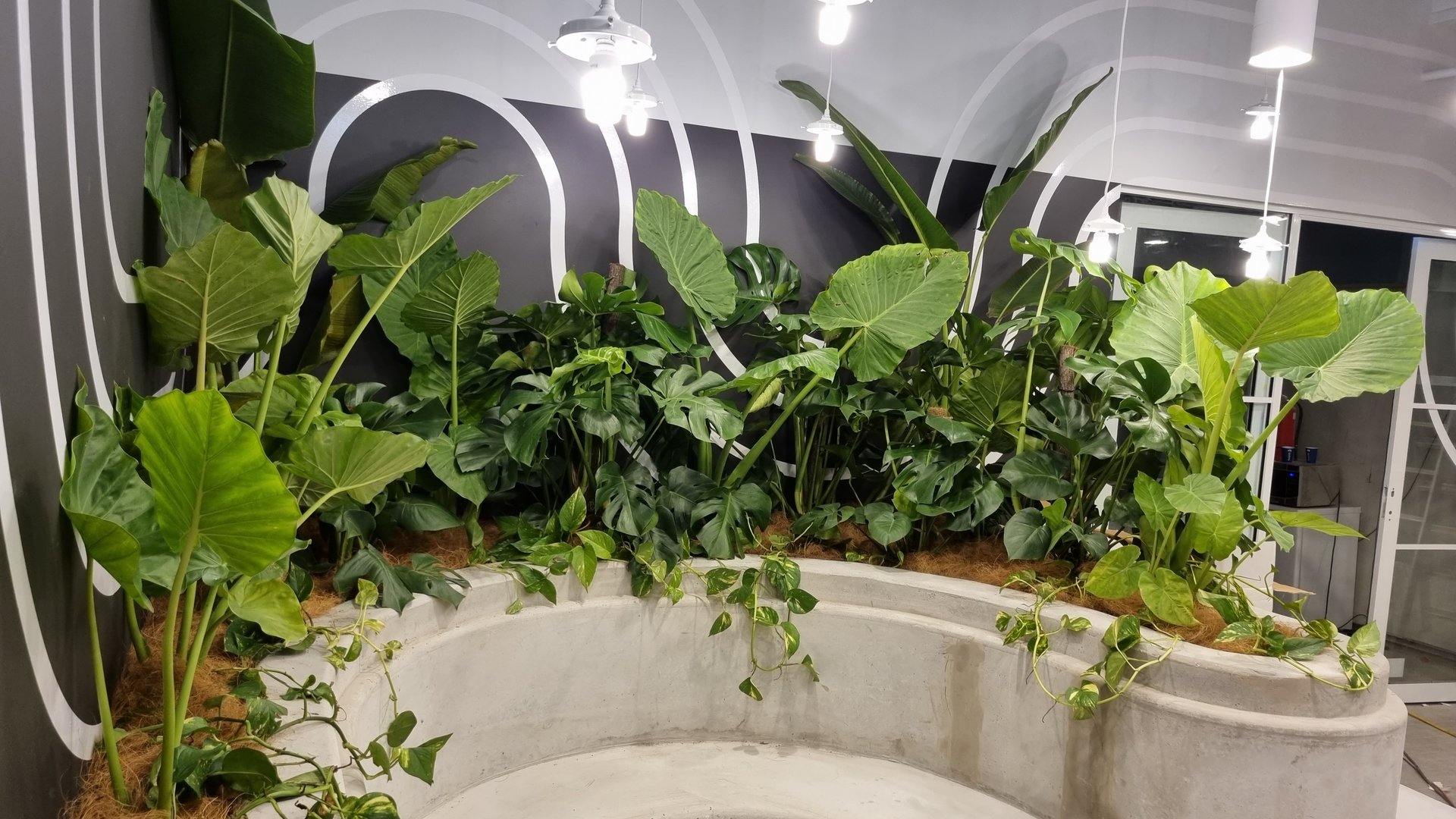 Grolife Indoor Plantscapes &mdash; team and install detail