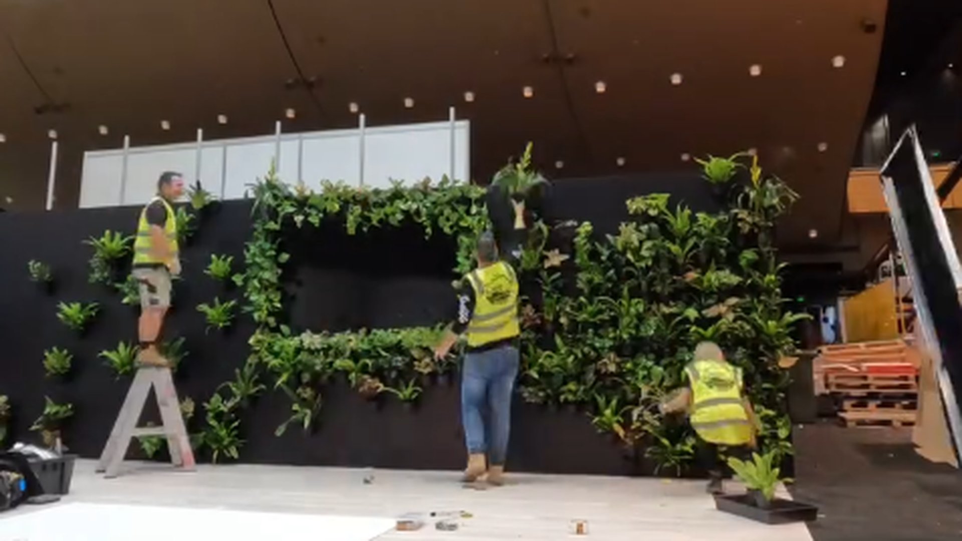 Grolife Indoor Plantscapes crew installing a feature green wall at a trade-show stand