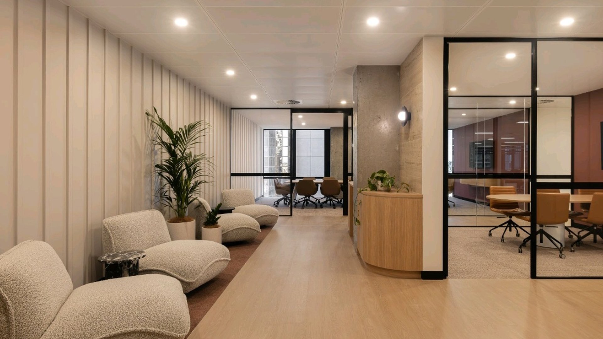 A modern leasing suite with curved bouclé lounge chairs, a palm in a white planter and glass-walled meeting rooms — a Grolife Indoor Plantscapes short-term hire install