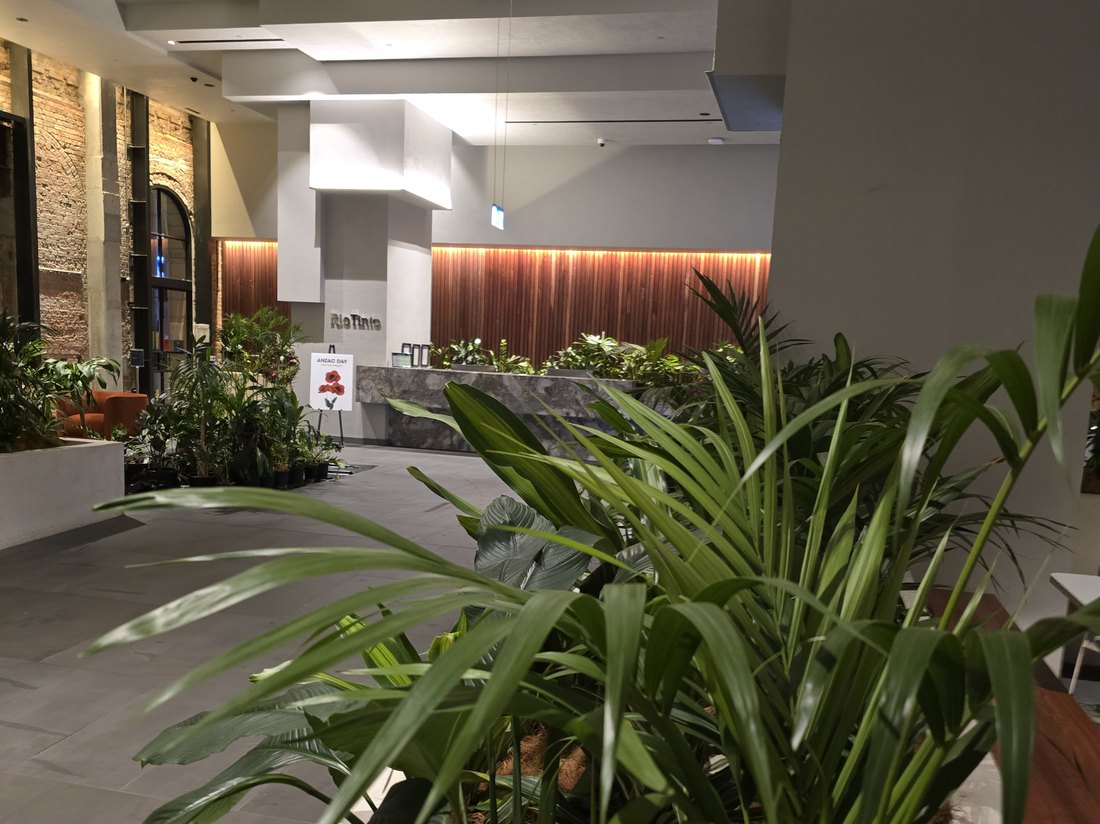 A Grolife Indoor Plantscapes commercial office installation with lush feature plantings