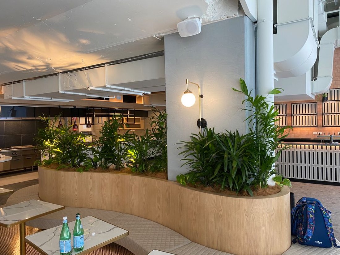 A Grolife Indoor Plantscapes retail and hospitality installation with feature planters