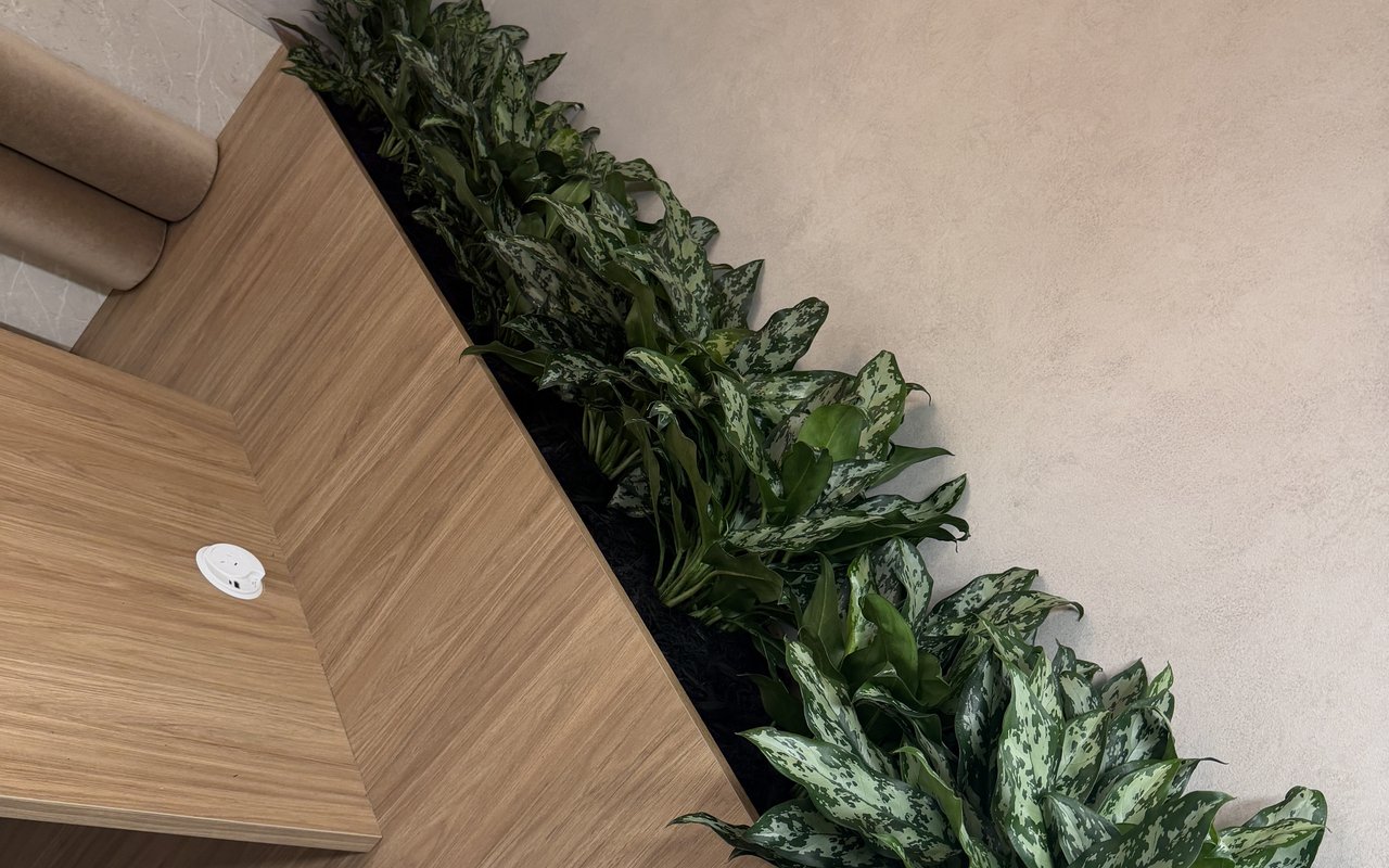 324 Queen Street &mdash; Spec Suite &mdash; spec suite install