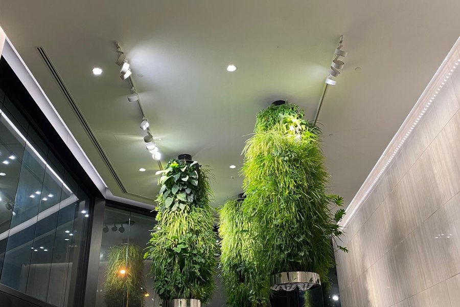 66 Eagle Street &mdash; Green Wall &mdash; detail 2
