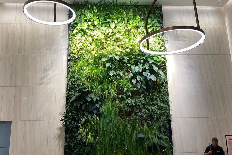 66 Eagle Street &mdash; Green Wall &mdash; detail 3