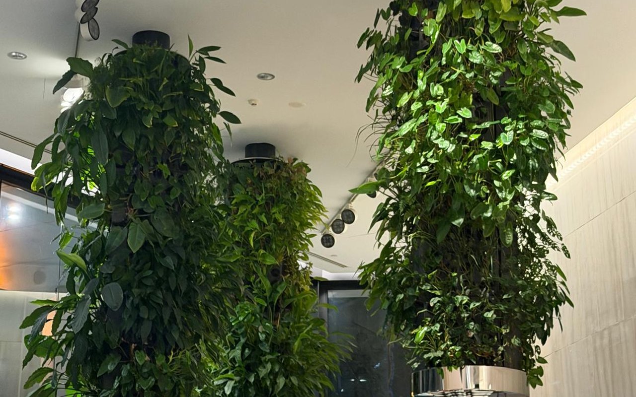 66 Eagle Street &mdash; Green Wall &mdash; commercial lobby install