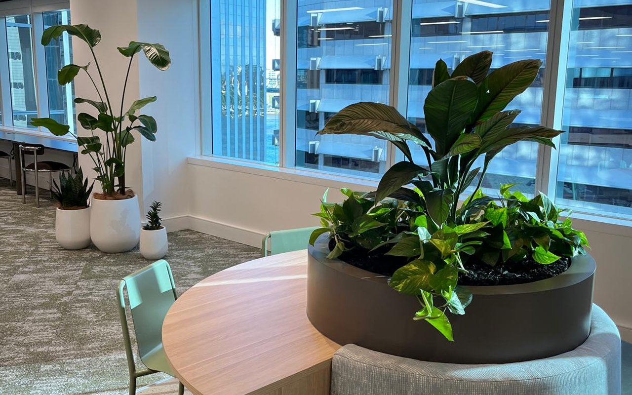 66 Eagle Street &mdash; Spec Suite &mdash; spec suite install