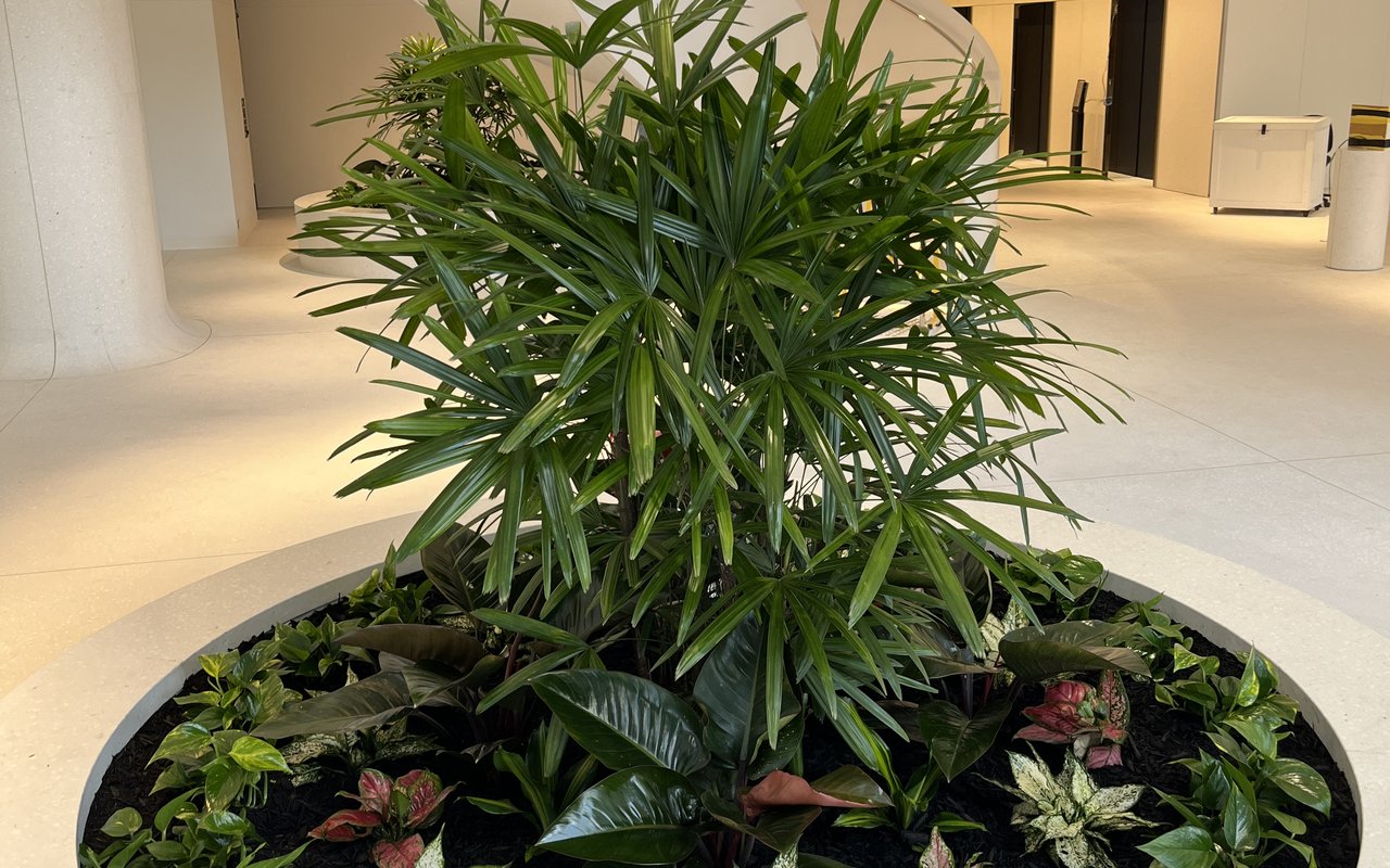 70 Eagle Street &mdash; commercial lobby install