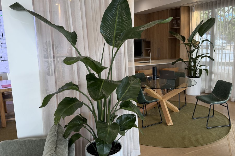 Flourish Oasis &mdash; Display Office &mdash; detail 1