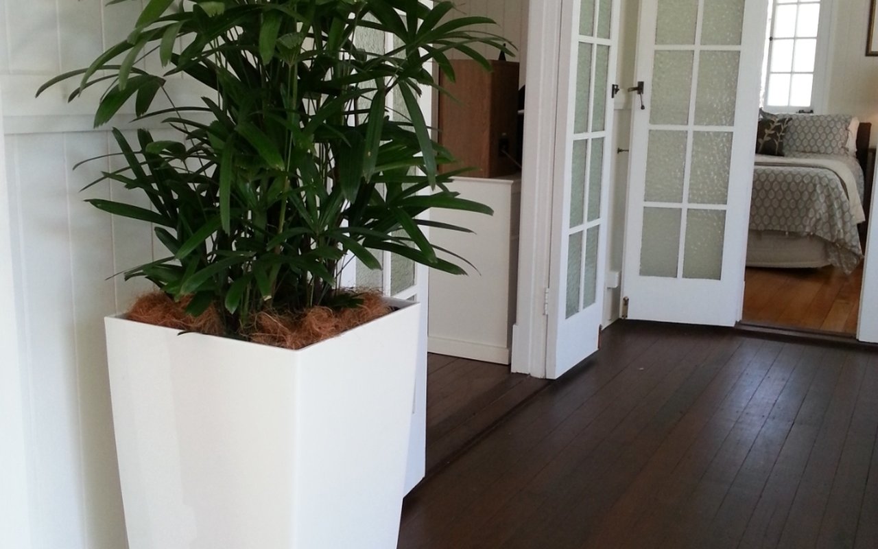 McGrath Real Estate &mdash; real estate install