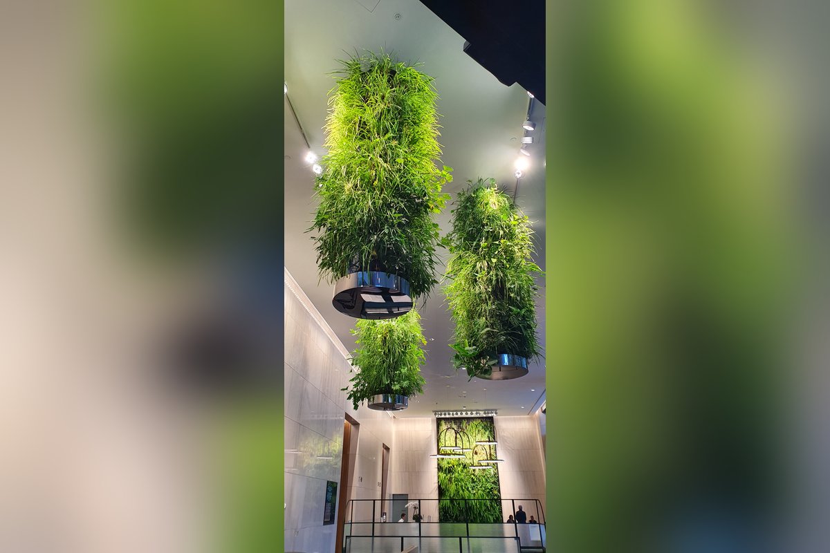 Suspended living plant columns in a marble corporate atrium with a green wall feature beyond