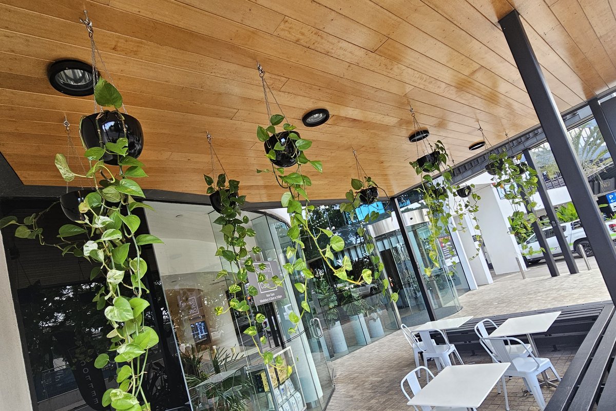 A hotel or hospitality interior with feature planting