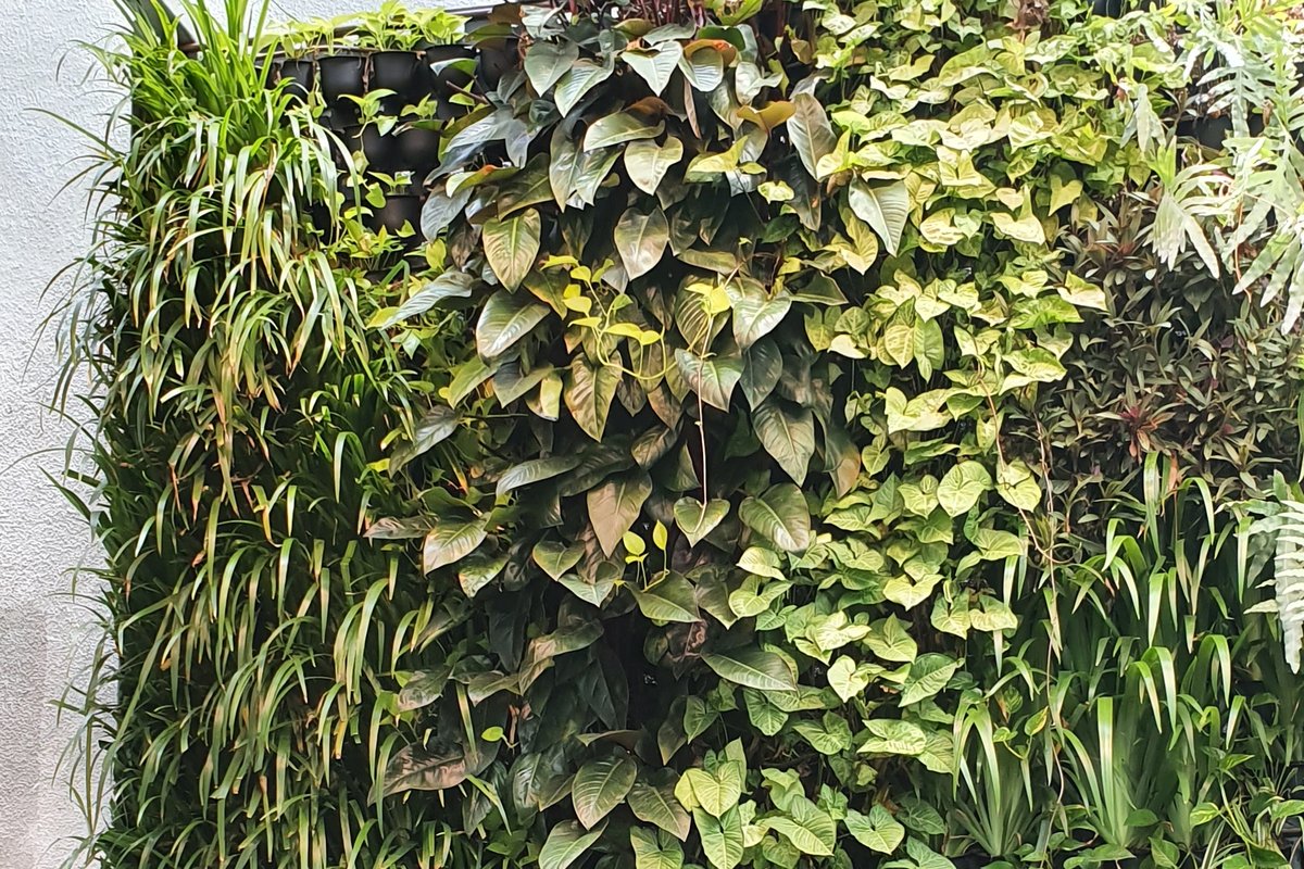 A floor-to-ceiling living green wall in a stone-tiled commercial foyer