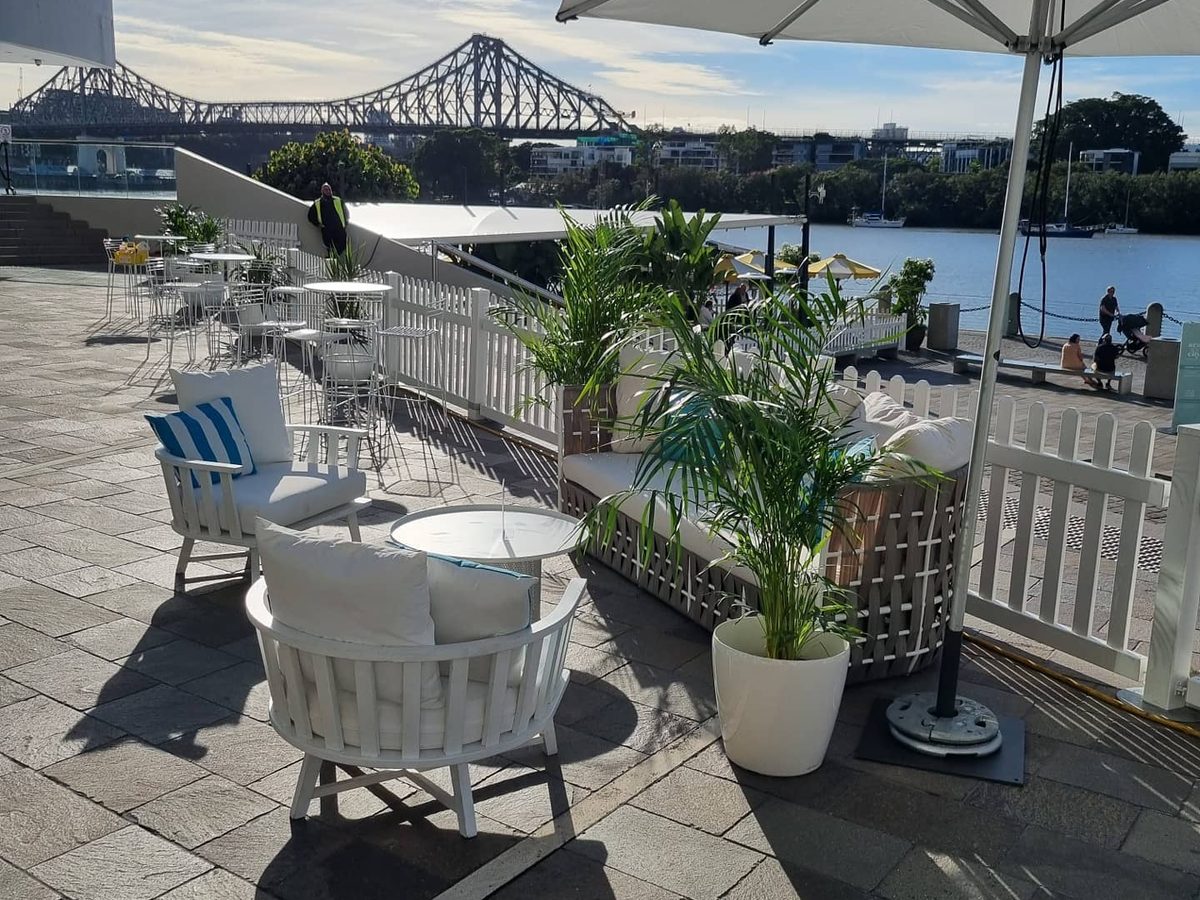Plants set up for a corporate event