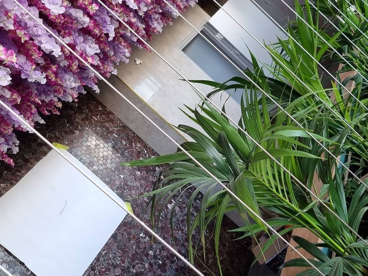 A lush living green wall in a commercial interior