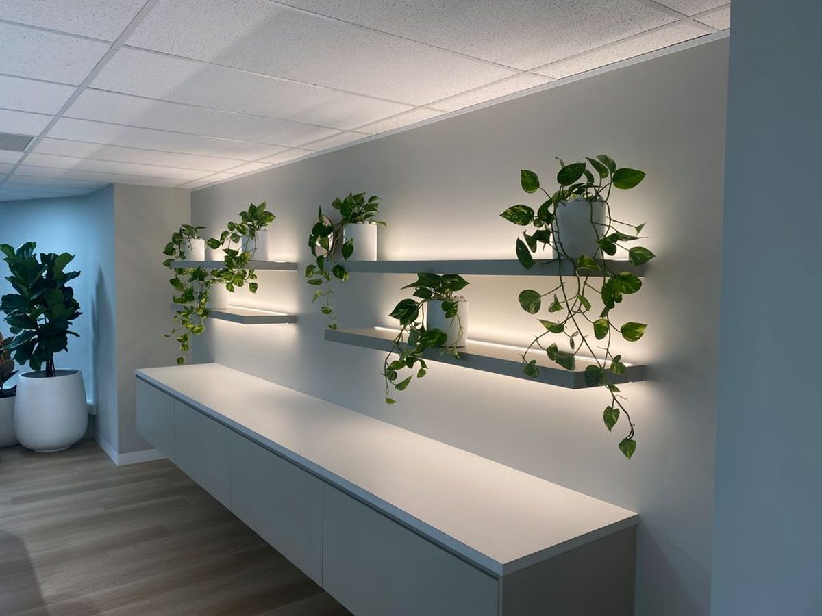 Healthy interior plants being maintained on a commercial site