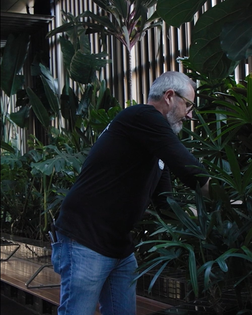 Initial audit of existing indoor plants