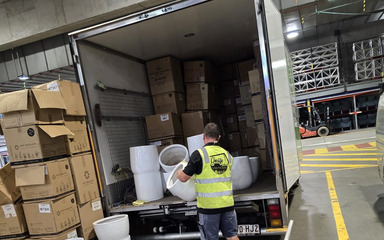A Grolife Indoor Plantscapes crew member loading white planters into a truck for an event hire bump-in