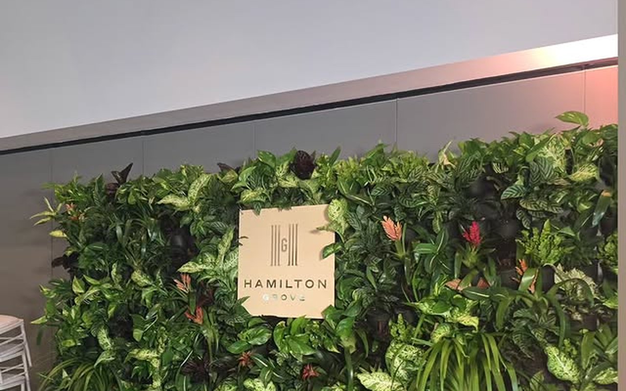 A green wall feature with the Hamilton Grove brand plaque mounted in the middle