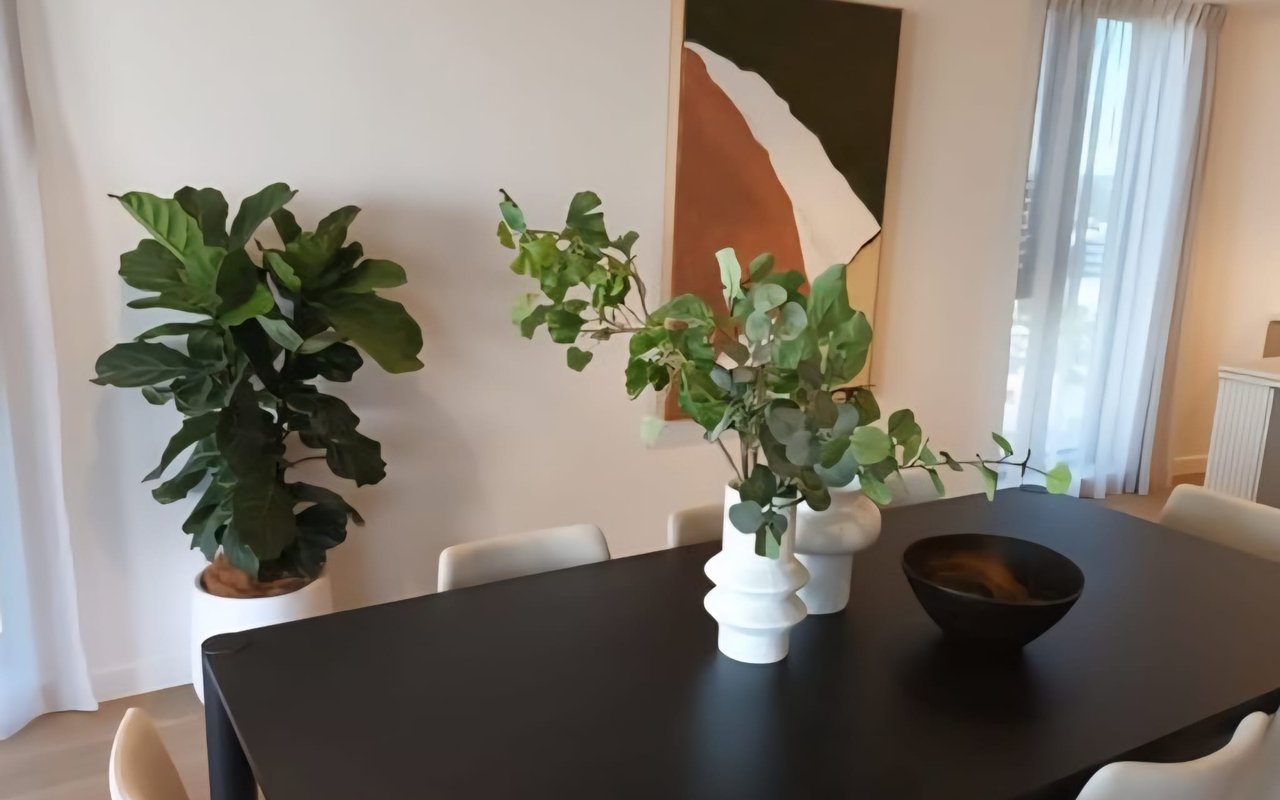 Placing plants for a sale campaign