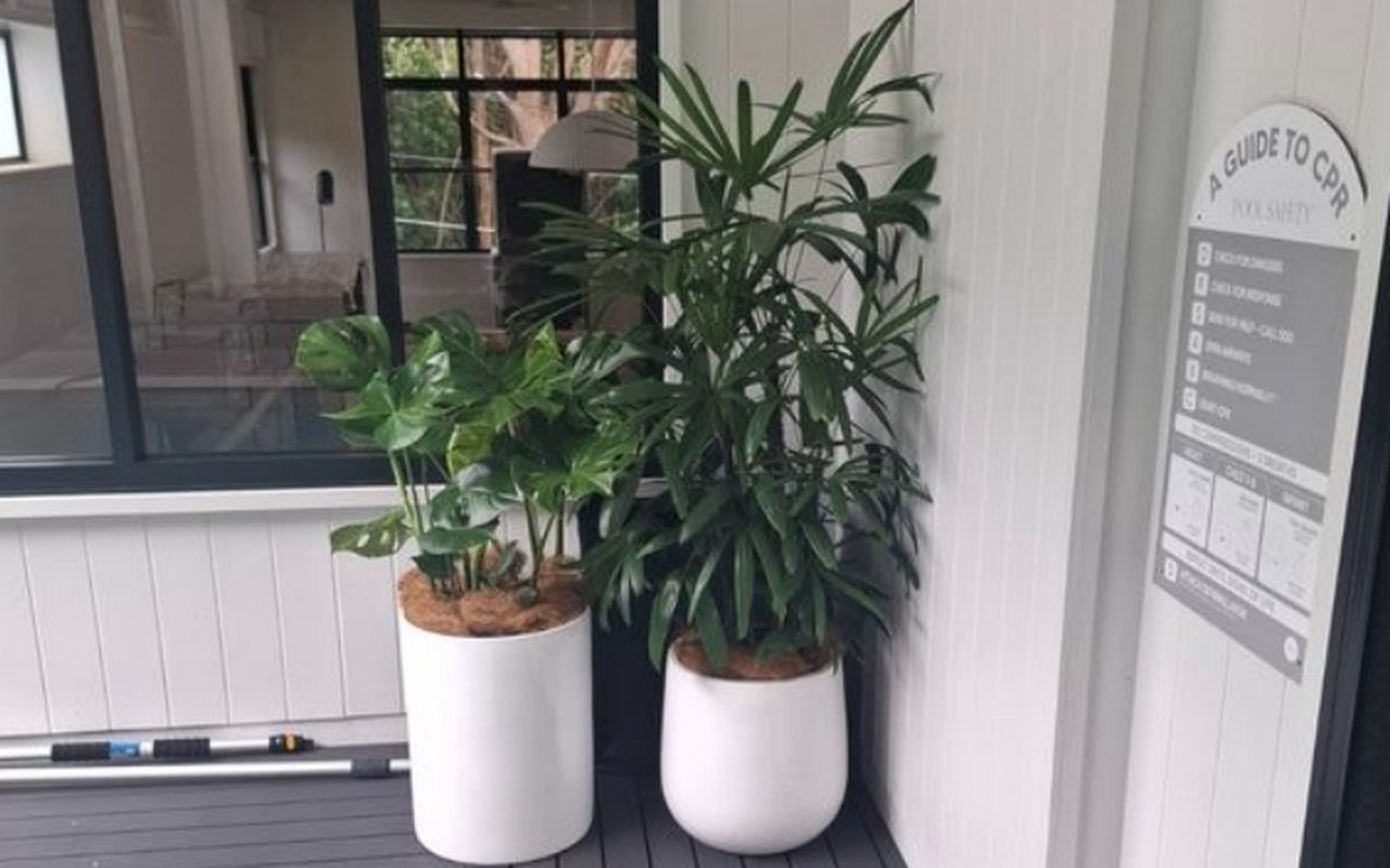 Photographer working with styled plants