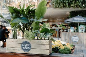 outdoor plant event 8